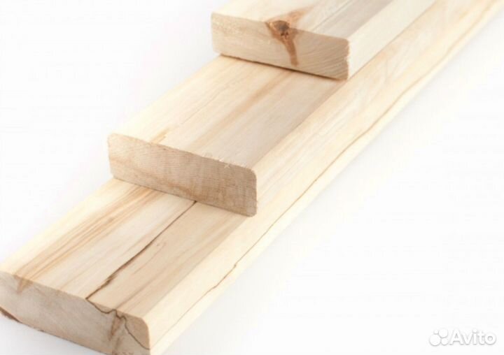 Полок липа сорт Э