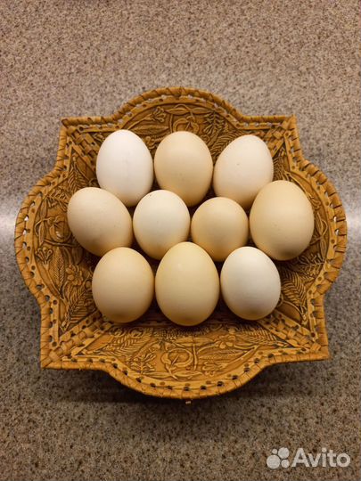 Яйцо куриное домашнее деревенское