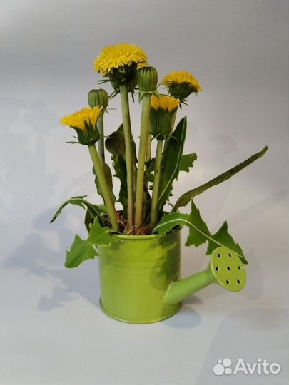 Цветы ручной работы