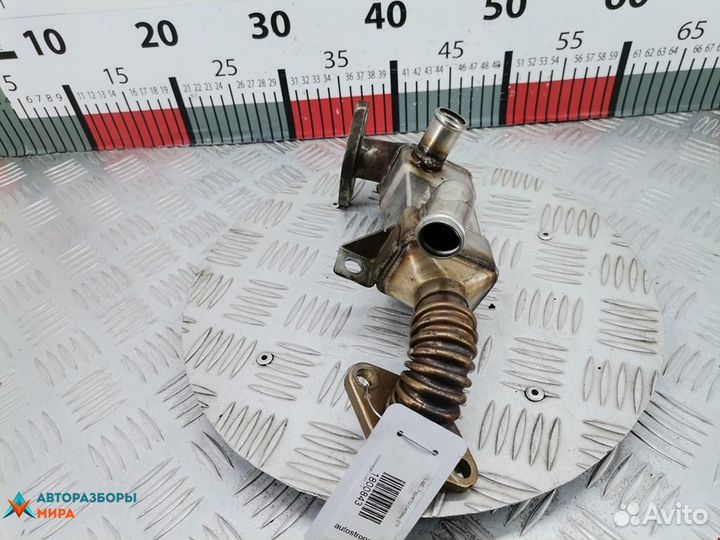 Охладитель EGR / Радиатор EGR Volkswagen Lupo 6X