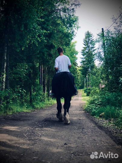 Походы на лошадях