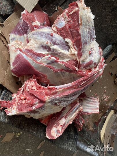 Мясо говядина