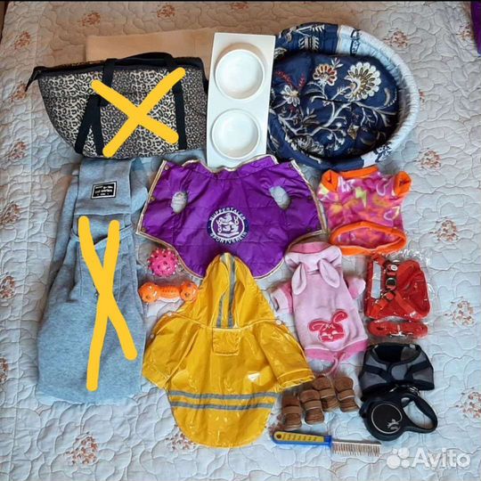 Разные вещи для животных