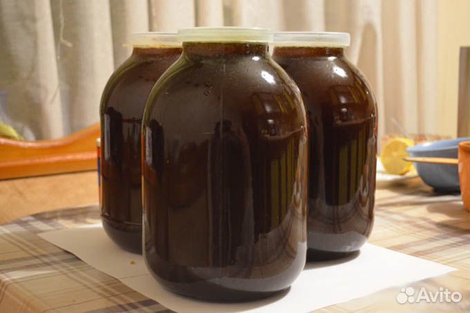 Продам мед 2023г. гречишный, откачали 2 августа