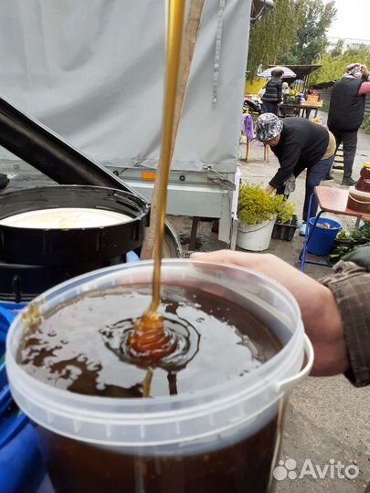 Продаю свежий мёд