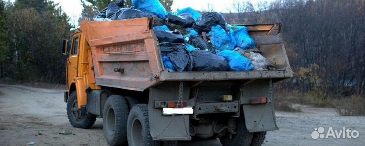 Вывоз мусора, грунта. Погрузка