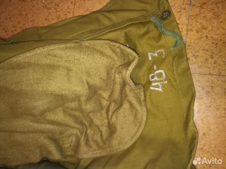 Мабута зимняя