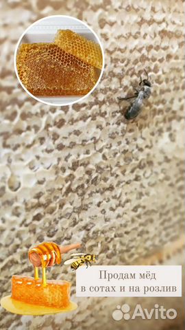 Мёд, мёд в сотах В наличии