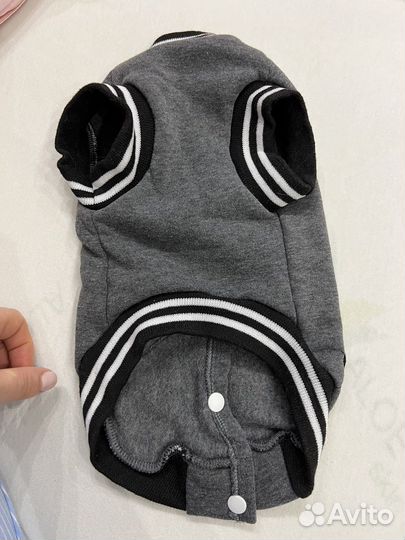 Костюм для животных