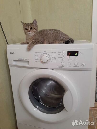 Ремонт стиральных машин