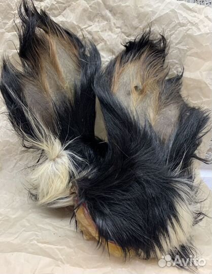 Сушеные лакомства для собак