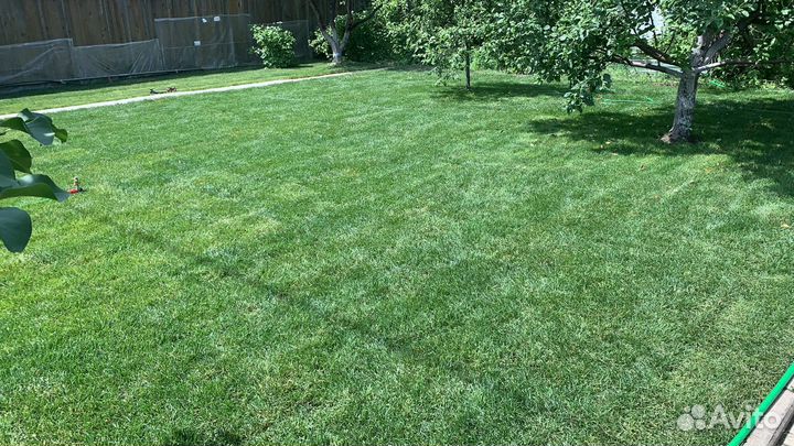 Рулонный газон, укладка рулонного газона