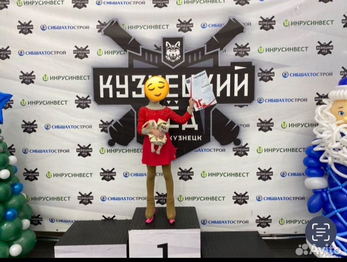 Жилет для фигурного катания,sagester II платье