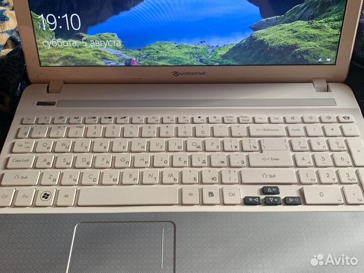 Ноутбук packard bell