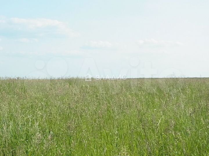 Участок 3,88 га (СНТ, ДНП)