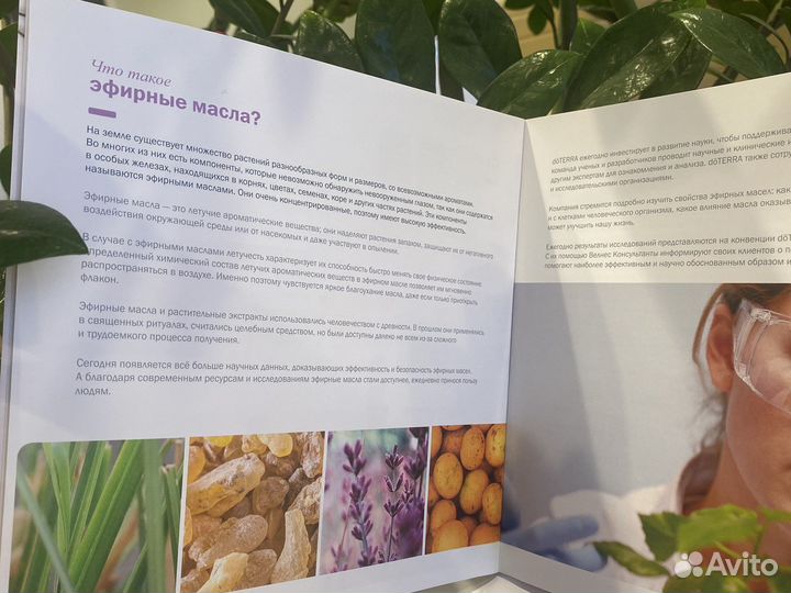 Эфирные масла doterra