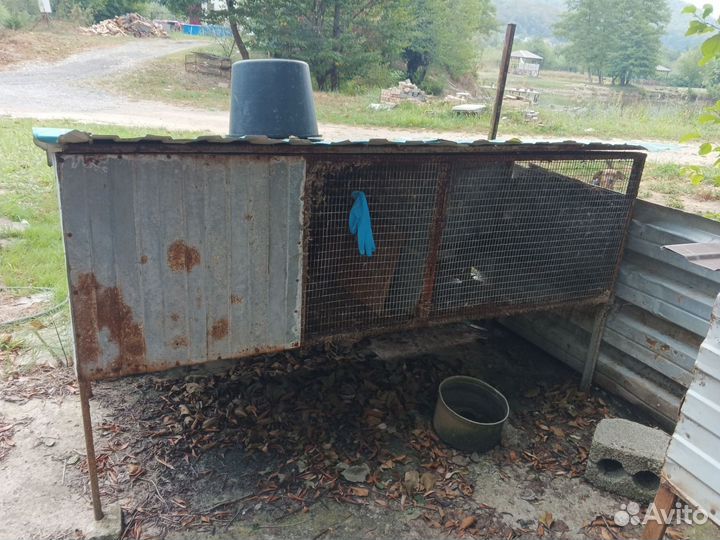 Клетка для грызунов бу