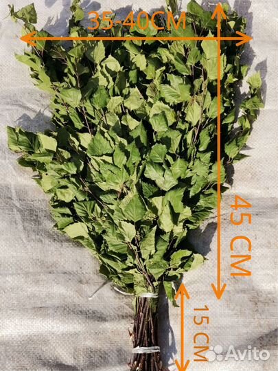 Банные берёзовые веники