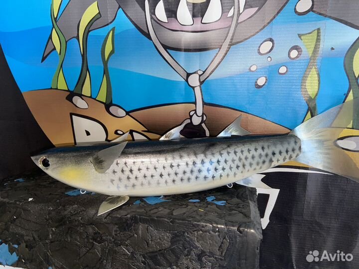 Замануха Маруся