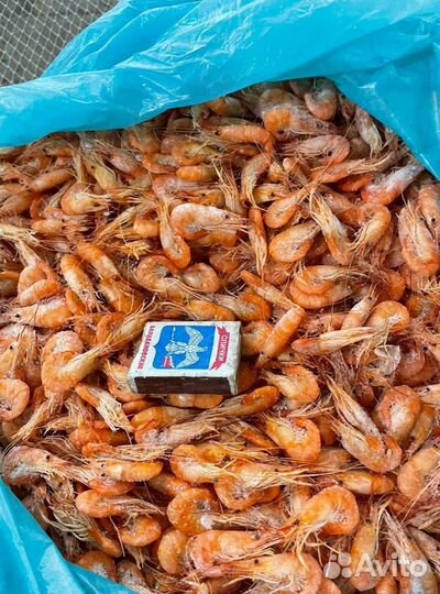 Креветка черноморская вареная