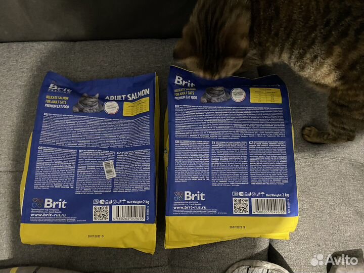 Корм для кошек brit