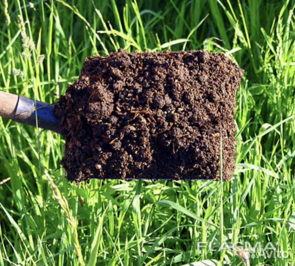 Чернозем био