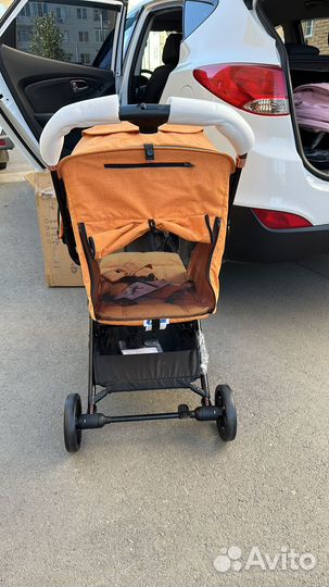 Coletto Maya Automatic 2023