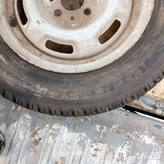 Medved Я-512 175/70 R13
