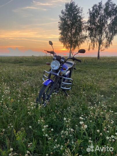 Motoland alpha rx110