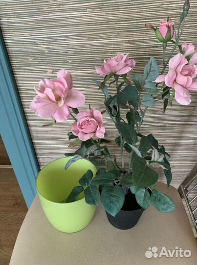 Розы из Икеи