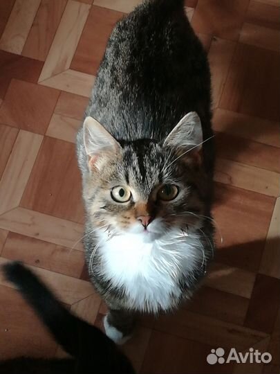 В самые добрые руки