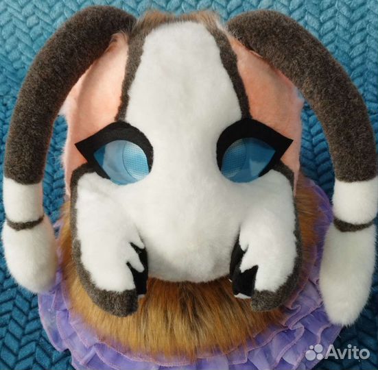 Фурсьют собаки