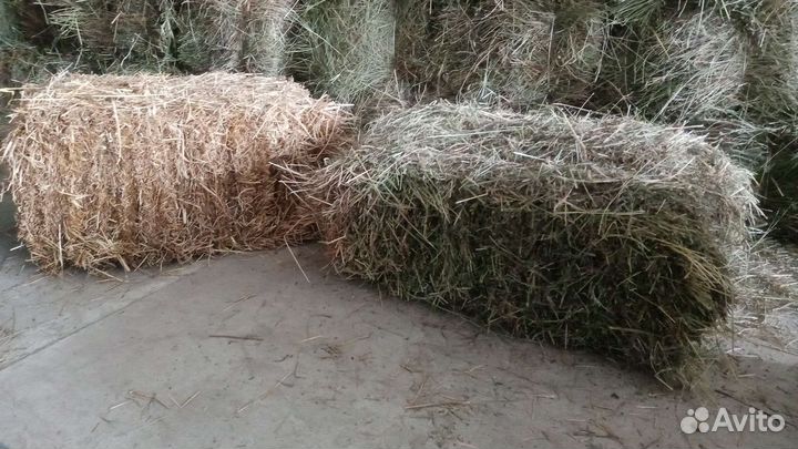 Сено Солома Тюки Доставка Сено на Корм