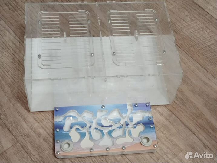 Муравьиная ферма