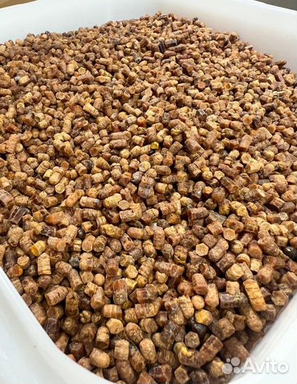 Пчелиная Перга