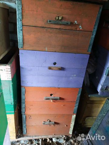 Улей для пчел