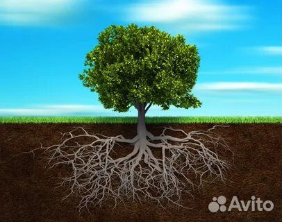 Планировочный грунт для кустарников