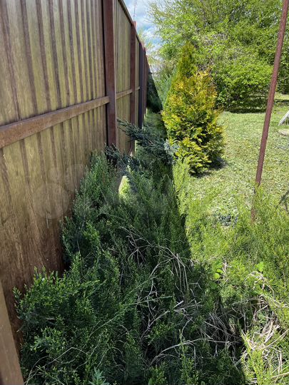 Дом 31,5 м² на участке 10,5 сот.