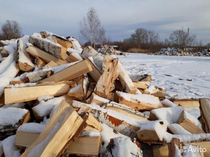 Дрова береза