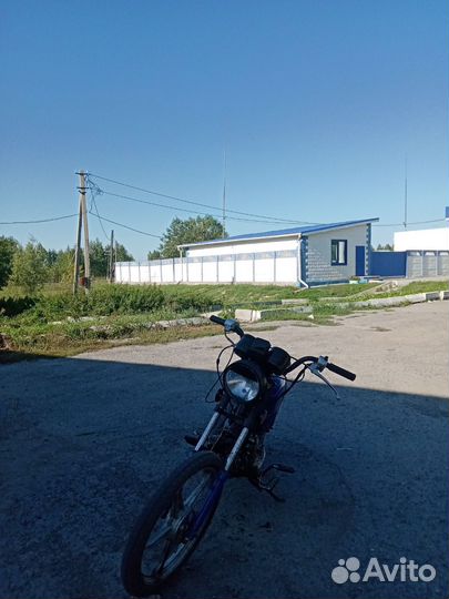 Альфа рейсер 11