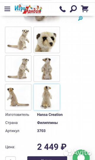 Сурикат