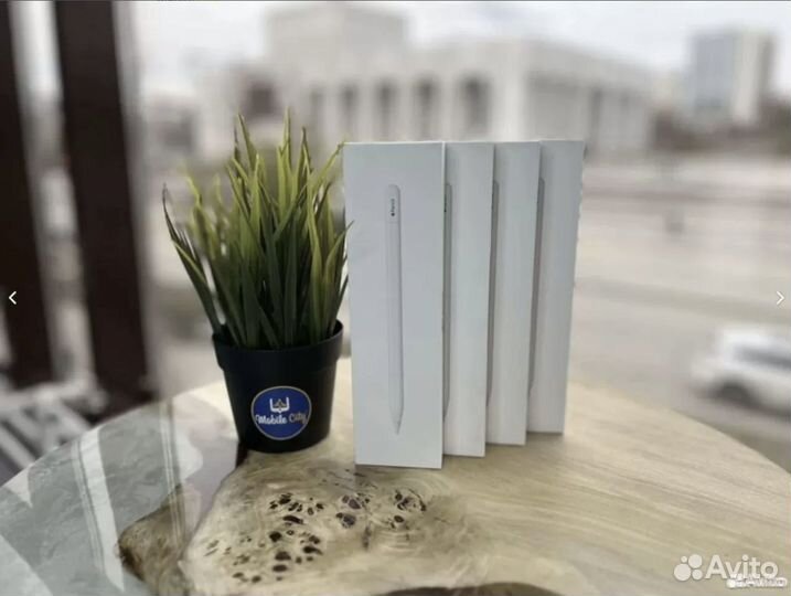 Стилус Apple Pencil (USB-C) (2023)