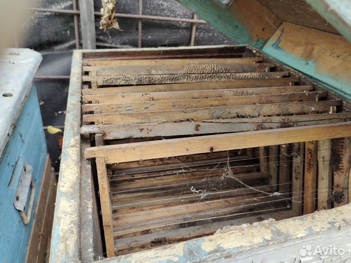 Продам ульи для пчел