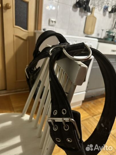 Шлейка для большой собаки