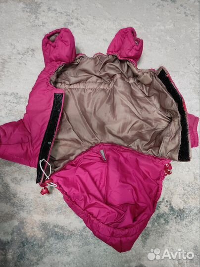 Зимняя одежда для собаки