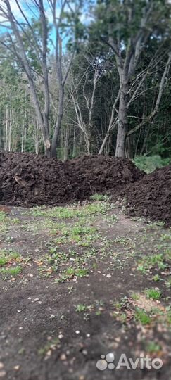 Перегной из навоза