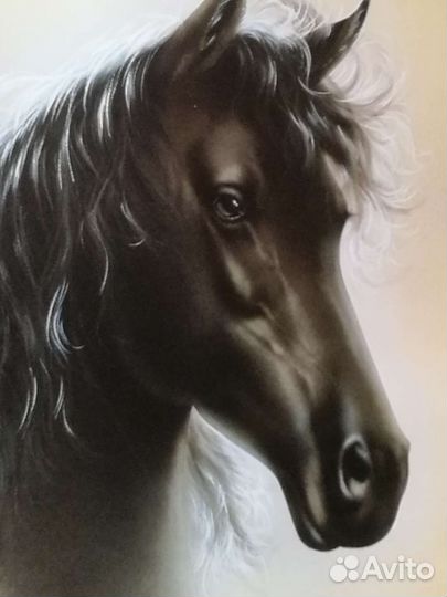 Картина репродукция глаза, лошадь