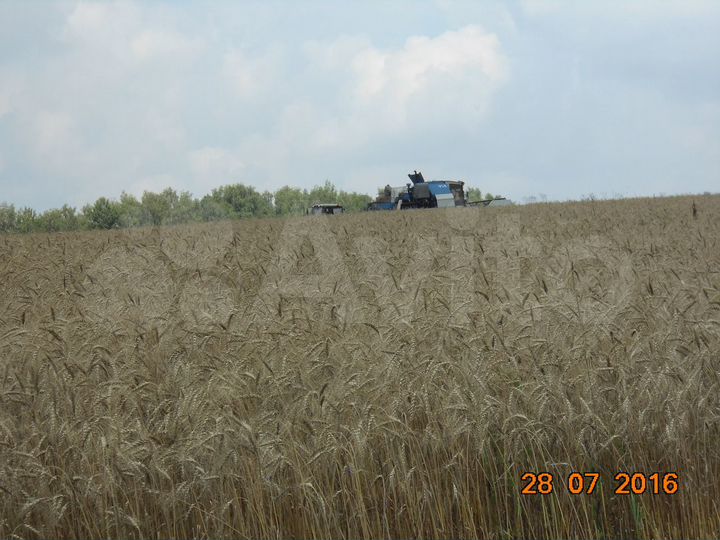 Участок 82 га (СНТ, ДНП)
