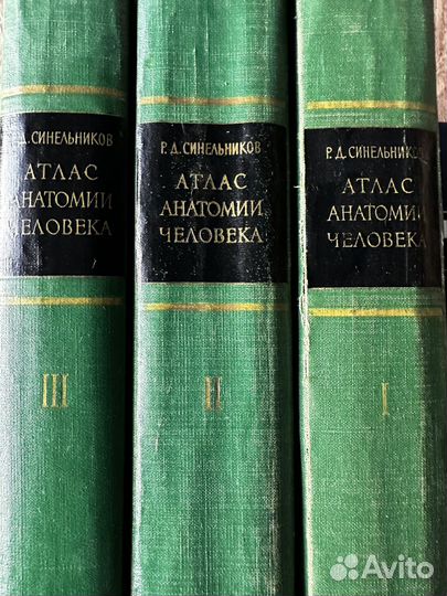 Атлас анатомии человека