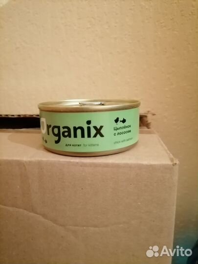 Влажный корм для котят